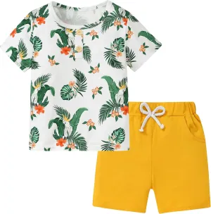 Coco&RARA Toddler Boy Clothes Outfits Kid Summer Hawaiian Print T-Shirt   Elastic Waist Pockets Shorts Clothes Set 2-7T