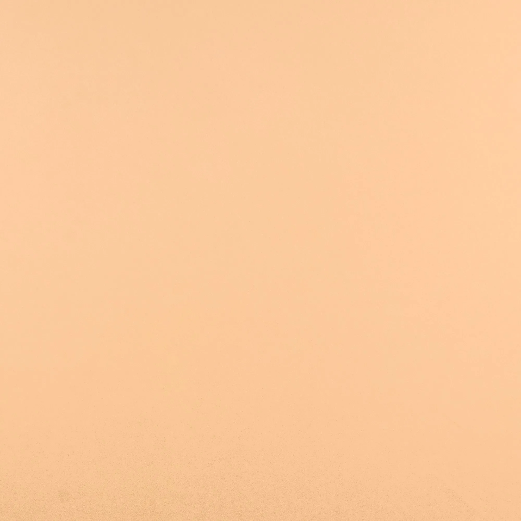 Novelty Chiffon Solid - 205 - Nude I